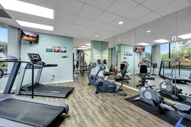 gym with hardwood / wood-style flooring and a drop ceiling