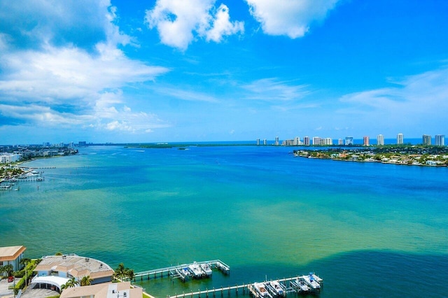 view of water feature with a dock