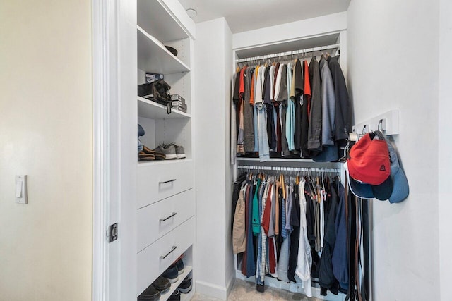 view of spacious closet