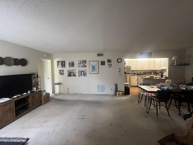 living room with a textured ceiling