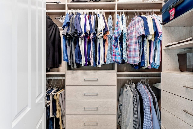 view of spacious closet