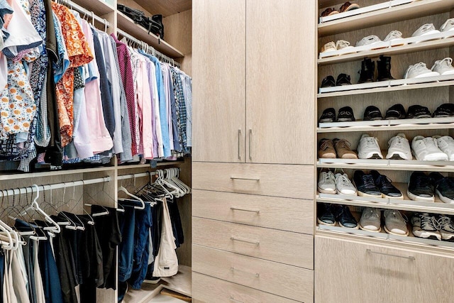 view of walk in closet