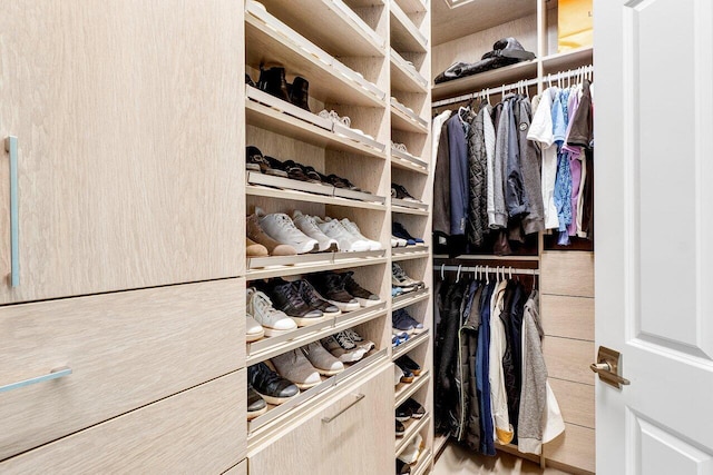 view of spacious closet