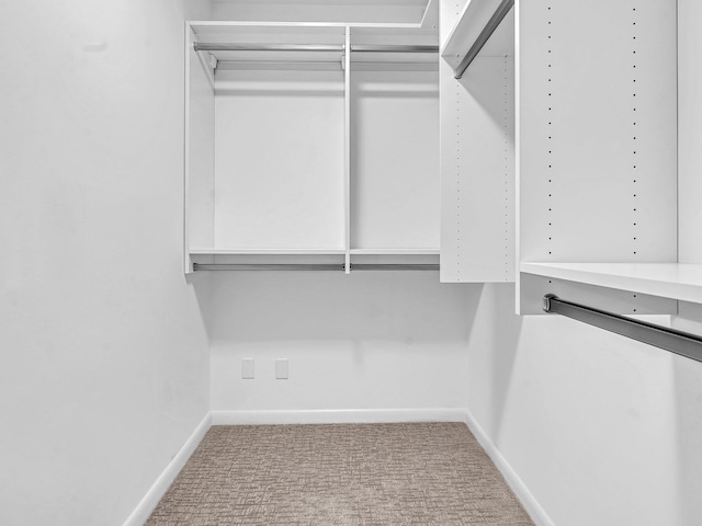 spacious closet with light carpet