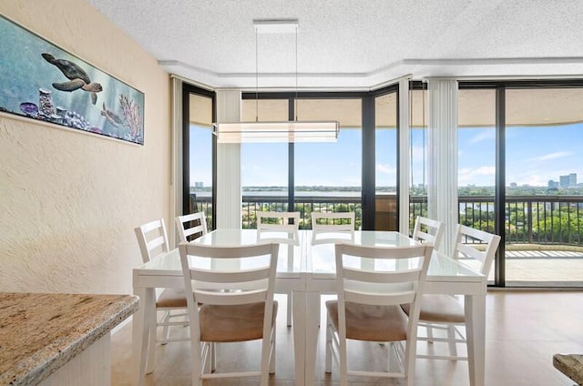 dining space with a textured ceiling, a textured wall, a wall of windows, and a healthy amount of sunlight