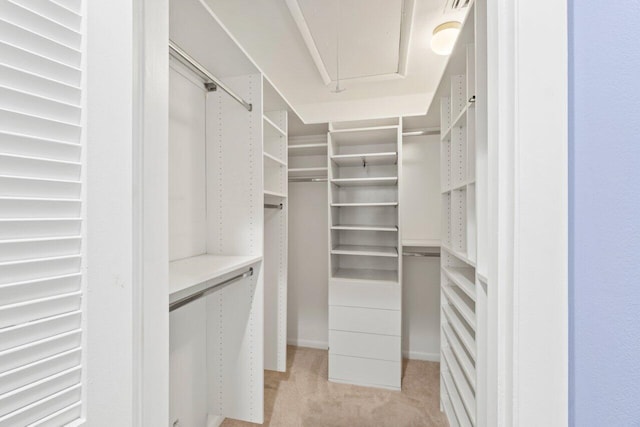 spacious closet featuring light carpet and attic access