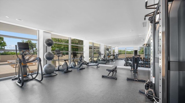 workout area with a wall of windows