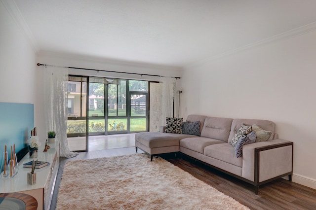 living room featuring ornamental molding and dark hardwood / wood-style flooring