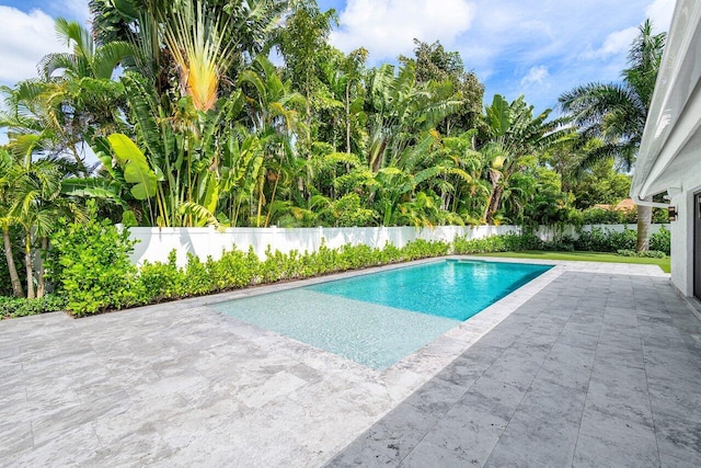 view of swimming pool with a patio