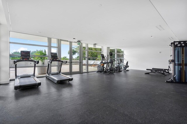 workout area featuring expansive windows and plenty of natural light