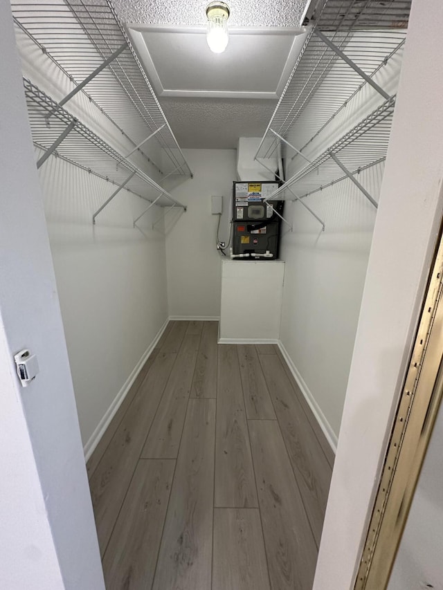 walk in closet featuring wood-type flooring