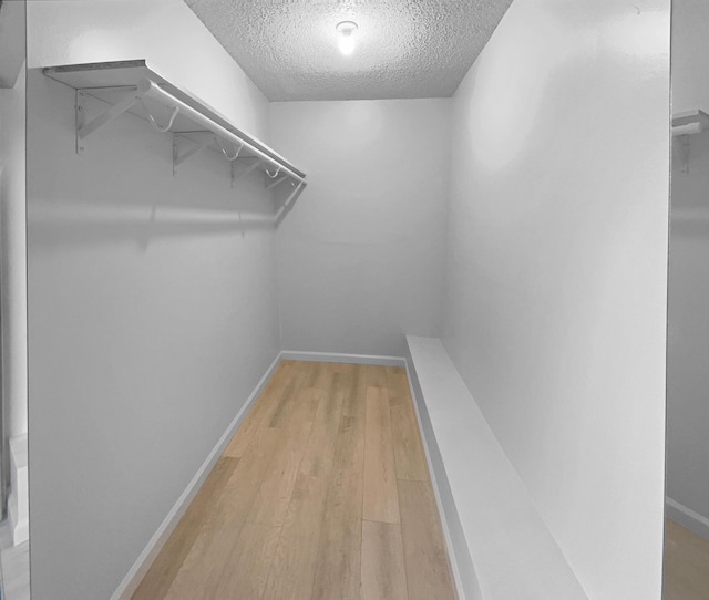 spacious closet with light hardwood / wood-style flooring