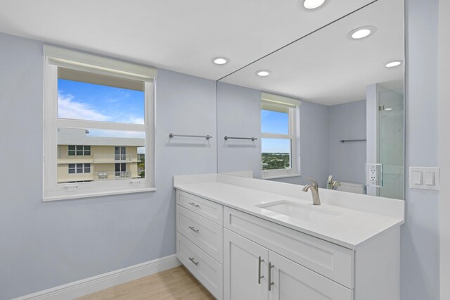 bathroom featuring wood-type flooring and vanity