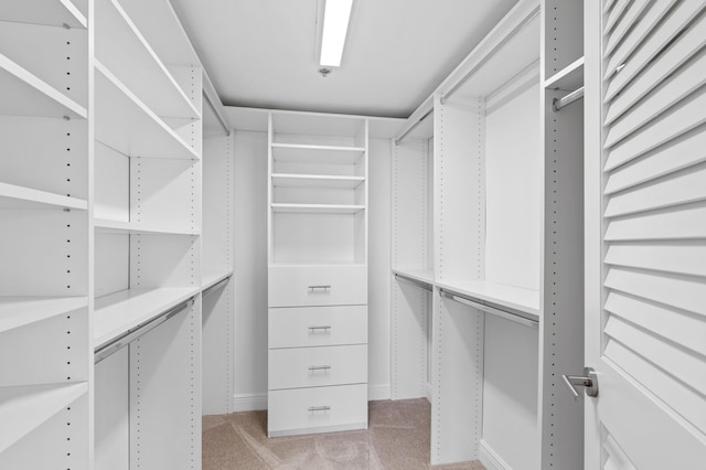 walk in closet with light colored carpet