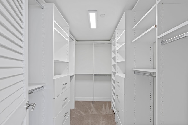 walk in closet featuring light carpet