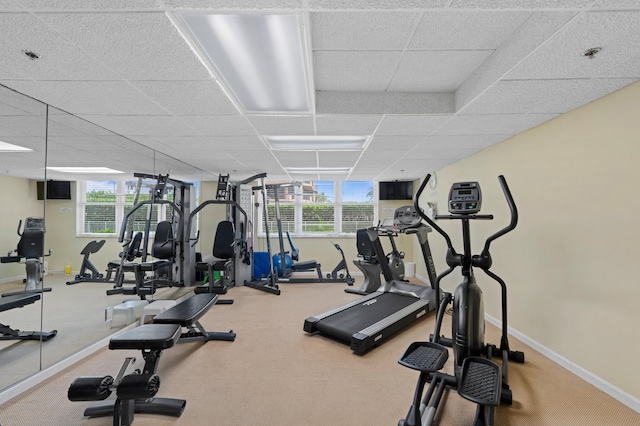 gym with a paneled ceiling and carpet flooring