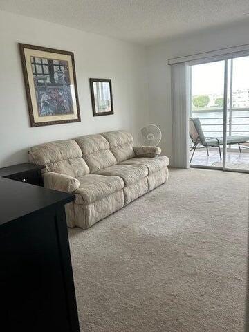 living room with carpet and a textured ceiling