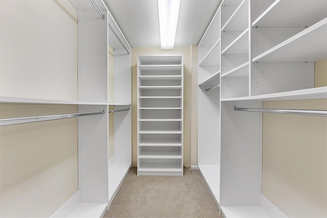 spacious closet featuring light colored carpet