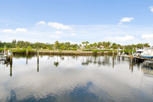 water view with a dock