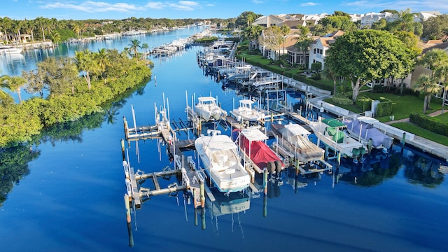 dock area with a water view