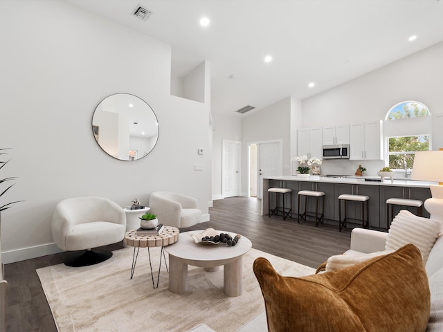 living room featuring high vaulted ceiling and hardwood / wood-style flooring