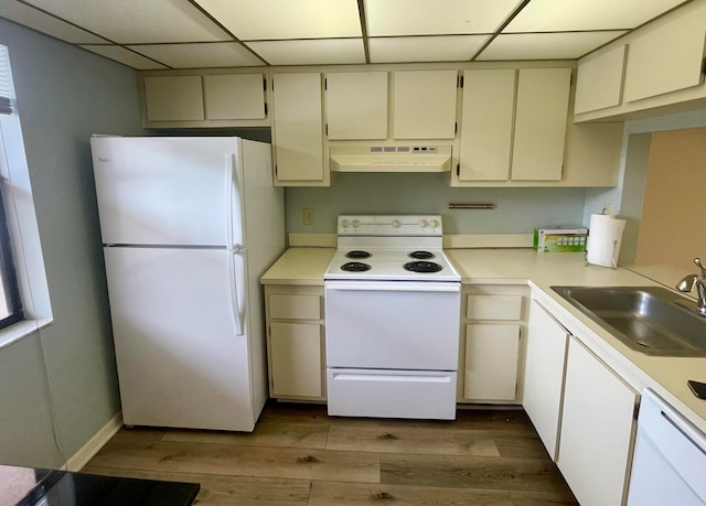 kitchen with light hardwood / wood-style floors, a drop ceiling, white appliances, and sink