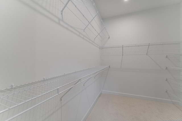 walk in closet featuring carpet flooring