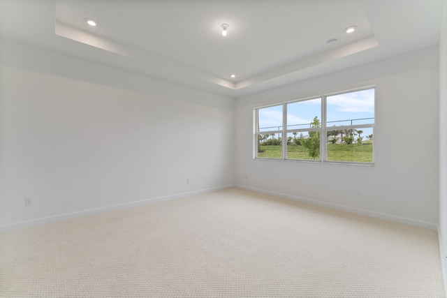 spare room with light colored carpet and a raised ceiling