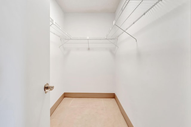 spacious closet featuring carpet flooring