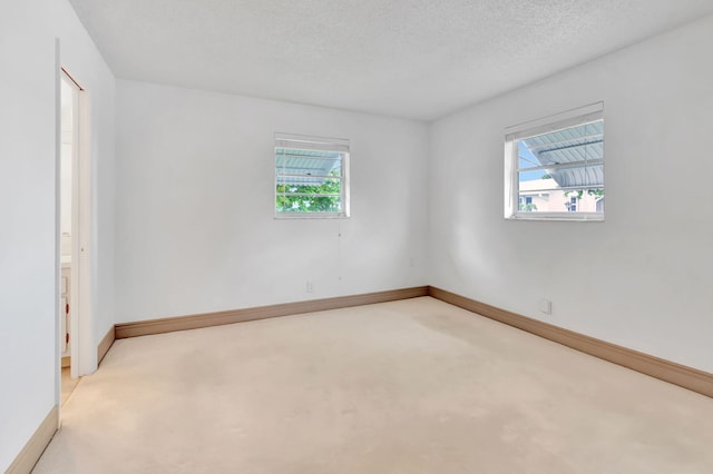 carpeted spare room with a textured ceiling and a healthy amount of sunlight