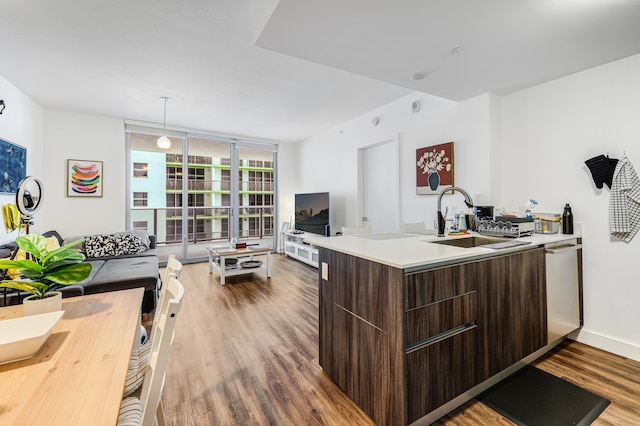 kitchen featuring hardwood / wood-style floors, decorative light fixtures, sink, and dark brown cabinetry