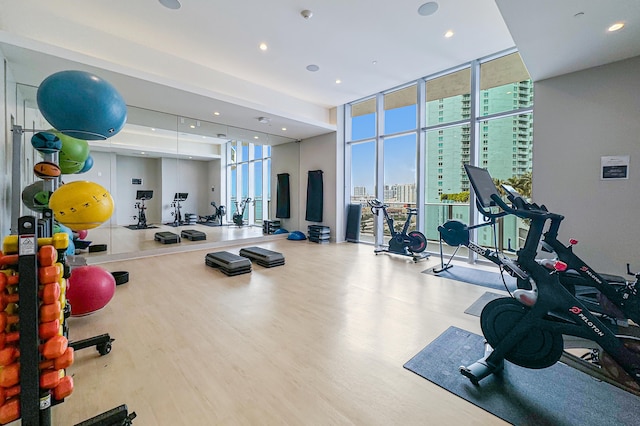 workout area with a healthy amount of sunlight, hardwood / wood-style floors, and a wall of windows