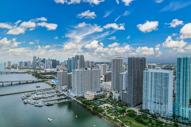 view of city featuring a water view