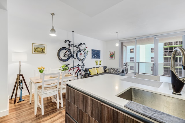 kitchen featuring sink, dark brown cabinetry, light wood-type flooring, and decorative light fixtures