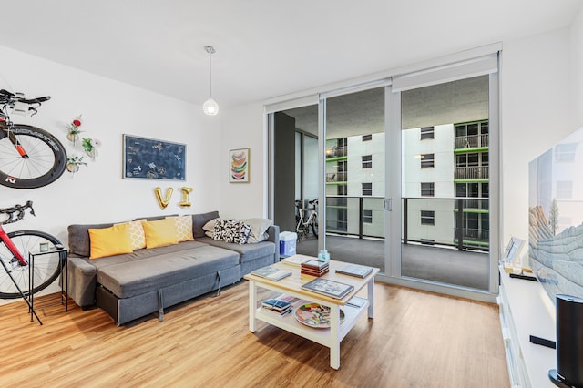 living room with floor to ceiling windows and light hardwood / wood-style floors