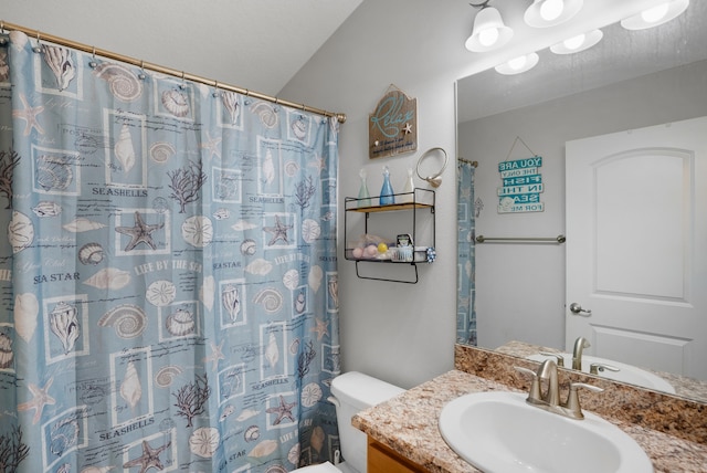 bathroom with vanity, walk in shower, and toilet