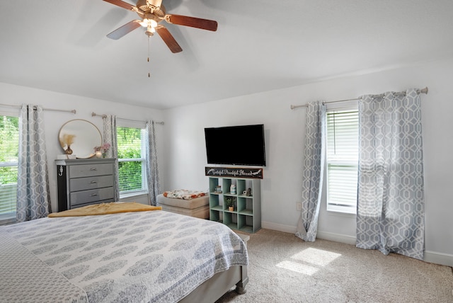 carpeted bedroom featuring multiple windows and ceiling fan