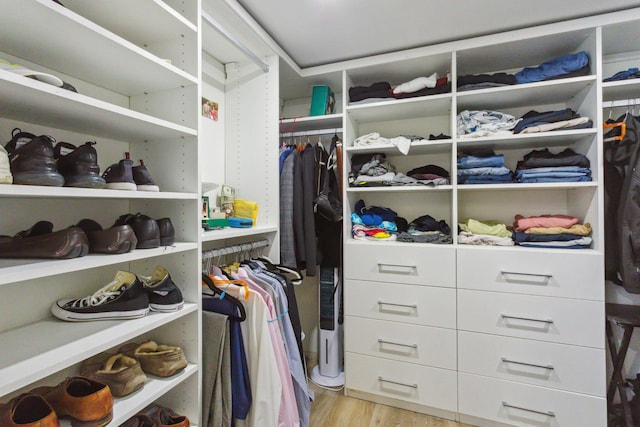 walk in closet featuring light hardwood / wood-style flooring