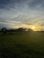 view of nature at dusk