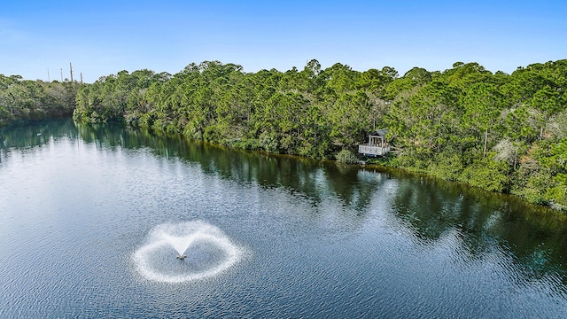 water view with a view of trees