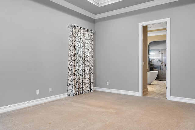 empty room featuring carpet floors and crown molding