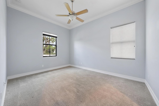 carpeted spare room featuring ceiling fan and crown molding