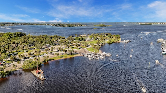 bird's eye view with a water view