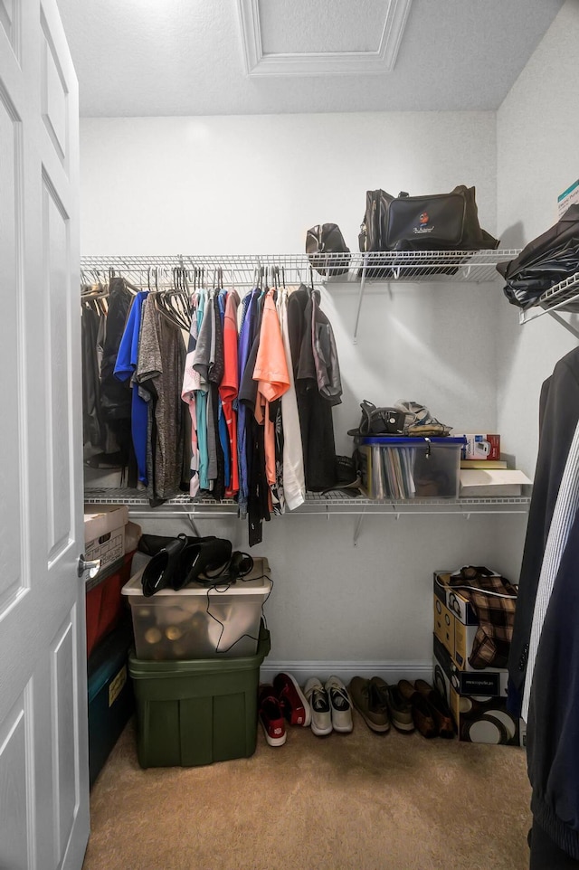 walk in closet with carpet floors