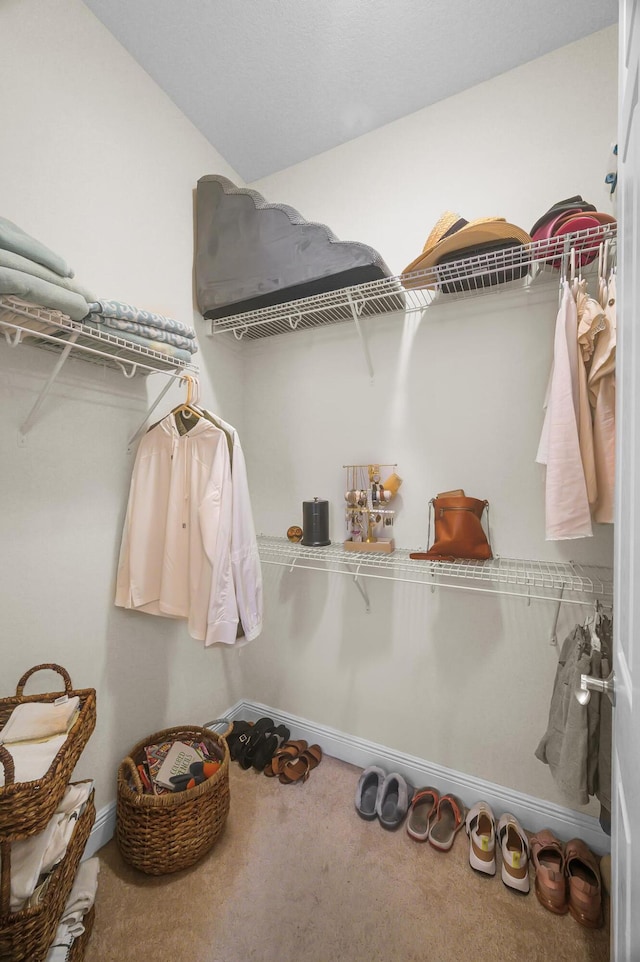 walk in closet with carpet floors