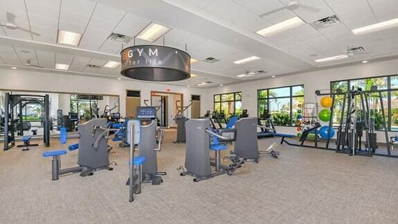 exercise room featuring light carpet and a paneled ceiling