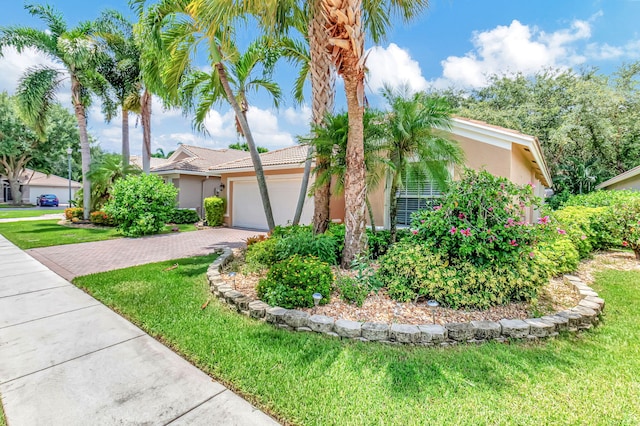 ranch-style home with a garage and a front lawn