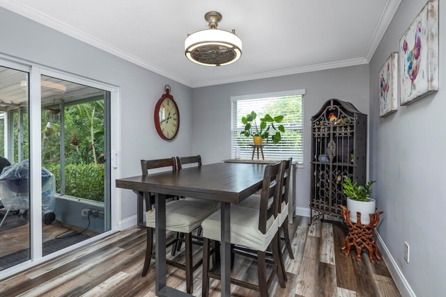 dining room featuring crown molding and dark hardwood / wood-style flooring