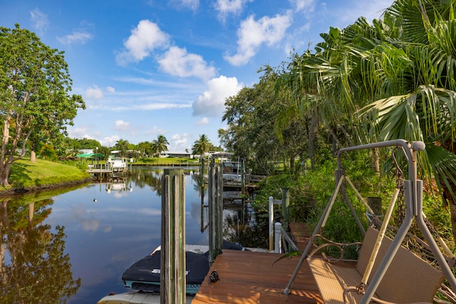 dock area with a water view