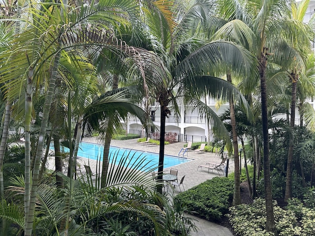 view of swimming pool with a patio area